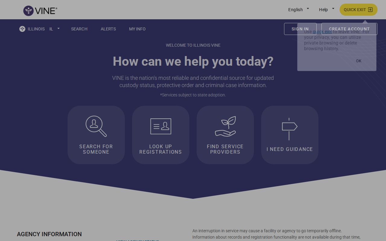 Captured Illinois VINE state custody search screen