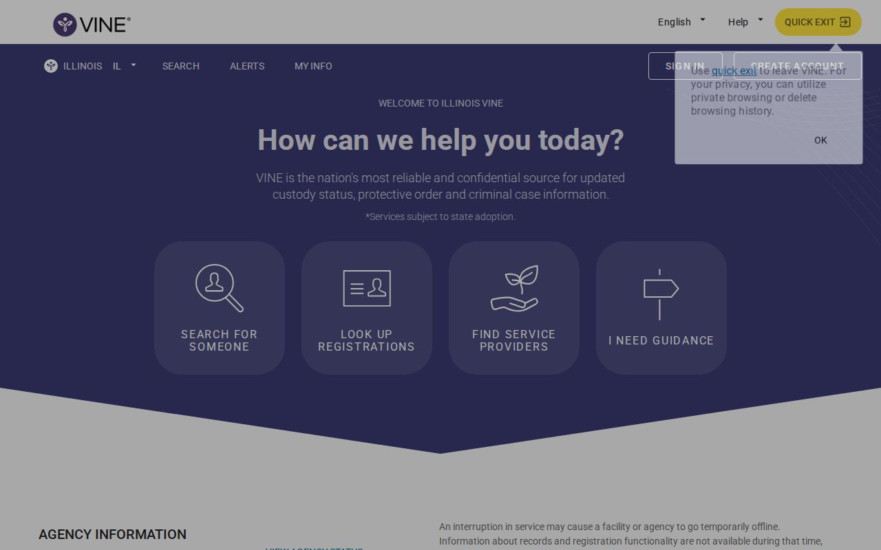Captured Illinois VINELink notification registration screen